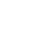 Palm Island Icon