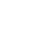 Carrot Icon
