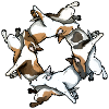 Jack Russell Circle