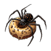 Donut Spider Funny Creative Motif
