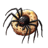 Donut Spider Funny Creative Motif