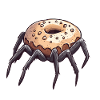 Donut Spider Funny Creative Motif