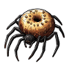 Donut Spider Funny Creative Motif