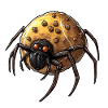 Donut Spider Funny Creative Motif