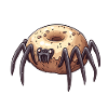Donut Spider Funny Creative Motif
