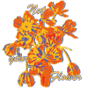 Not Your Flower Statement