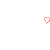Team bridle heart red