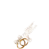 Témoin de La mariée