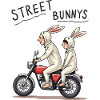 Biker Bunnies