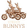 Lapins motards