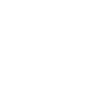 Moped Mechanic