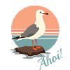 Seagull Ahoy