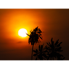 Nature's hand on the sun