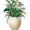Vase avec jungle - Tropical