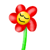dreamy tired flower flowers summer