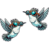 Hummingbird Sunglasses 2