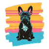 Bouledogue français Frenchie