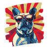 Frenchie French Bulldog
