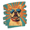 Bouledogue français Frenchie