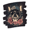 Frenchie French Bulldog