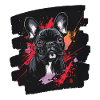 Bouledogue français Frenchie