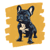 Frenchie French Bulldog
