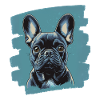 Frenchie French Bulldog