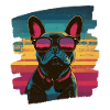 Frenchie French Bulldog