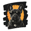 Bouledogue français Frenchie