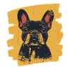 Bouledogue français Frenchie
