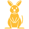 wallaby