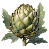 Artichoke