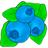 Blueberries Blueberries