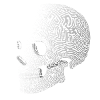 3d Skull