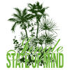 Jungle State of Mind – Palmen Design