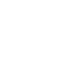 Havanese Havaneser