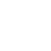 Cesky Terrier
