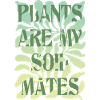 Plants Are My Soulmates Statement Design