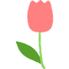 fleur de tulipe
