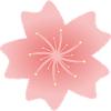 Fleur de sakura rose