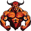 Muscles du Taureau