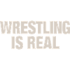 Wrestling er Real Pro Wrestling Wrestler Fan