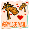 ABSCHIEDSSPRÜCHE VERMISSE DICH GIRAFFE