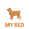 Boykin Spaniel