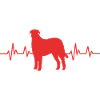 Irish wolfhound