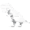 Dinosaurs dinosaurs dinosaurs t-rex