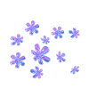 Euphorie Éclair Fleurs