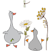 Oies dans le pré