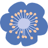 fleur bleue avec