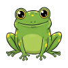 Animal Cartoon Frog